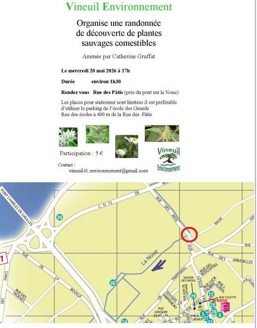 Decouverte plantes sauvages 2